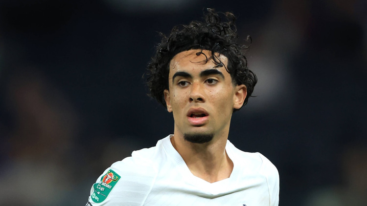 Luca Williams-Barnett, Tottenham