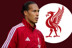 Virgil van Dijk, Liverpool