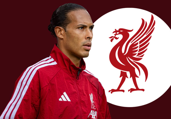 Virgil van Dijk, Liverpool