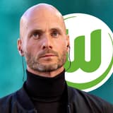 Paul Simonis, VfL Wolfsburg