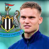 Bart Verbruggen, Newcastle United