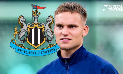 Bart Verbruggen, Newcastle United