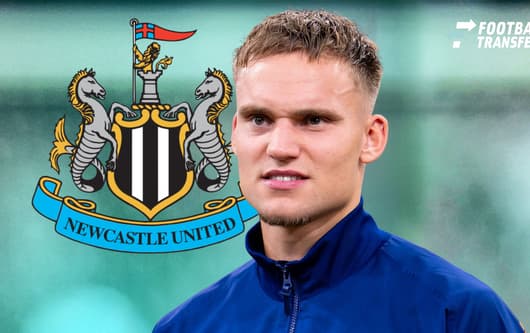 Bart Verbruggen, Newcastle United