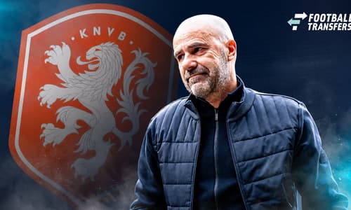 Peter Bosz, KNVB
