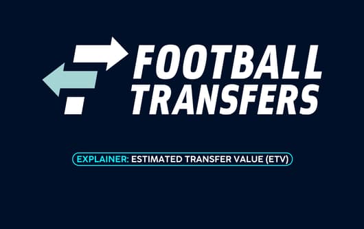 FootballTransfers, explainer, Estimated Transfer Value