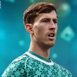 Robin Roefs, Sunderland