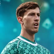 Robin Roefs, Sunderland