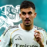 Dani Ceballos, Ajax