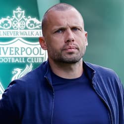 John Heitinga, Liverpool