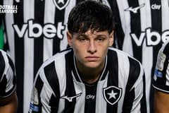 Alvaro Montor, Botafogo