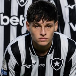 Alvaro Montor, Botafogo