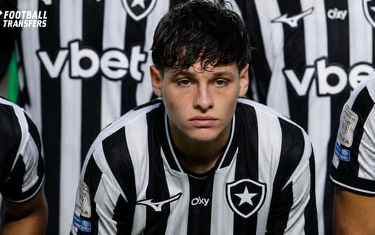 Alvaro Montor, Botafogo