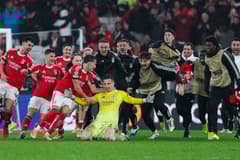 Anatoliy Trubin, Benfica