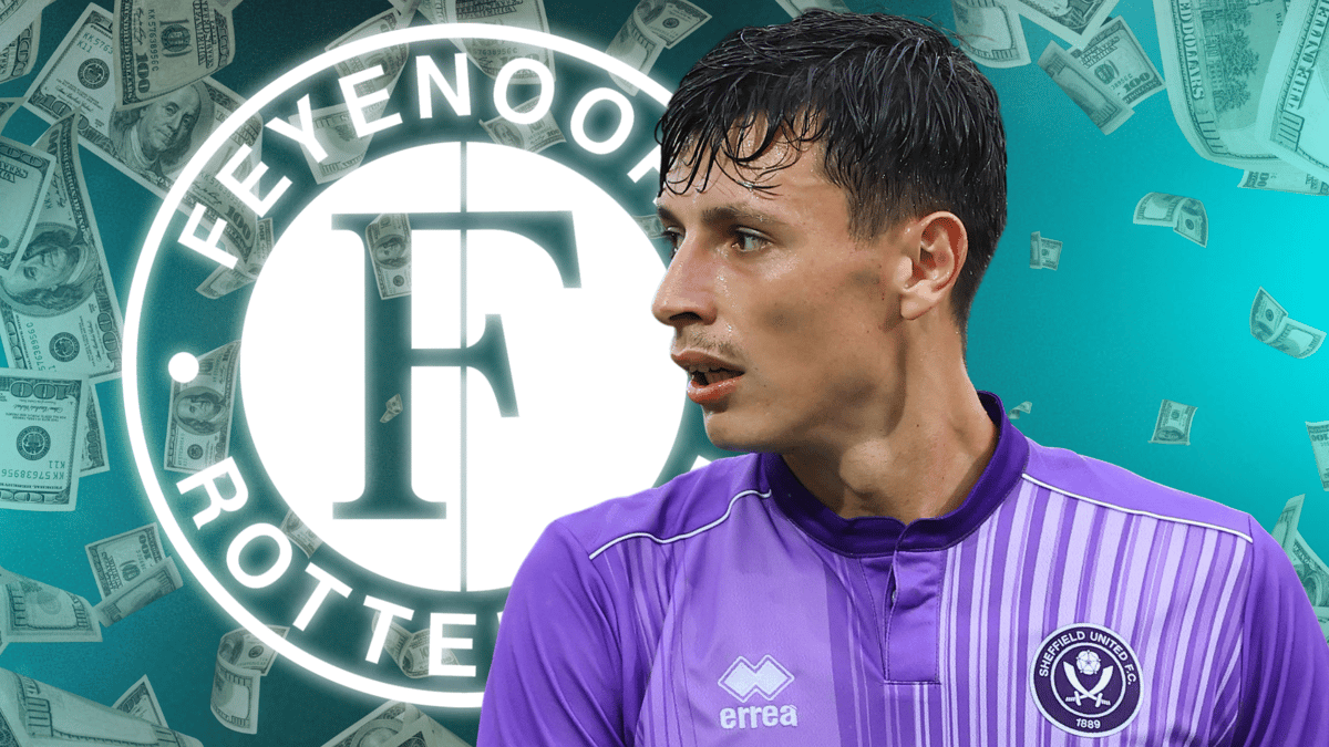 Anel Ahmedhodzic, Feyenoord