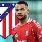 Cody Gakpo, Atlético Madrid