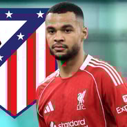 Cody Gakpo, Atlético Madrid