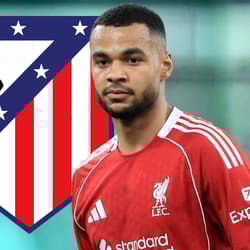 Cody Gakpo, Atlético Madrid