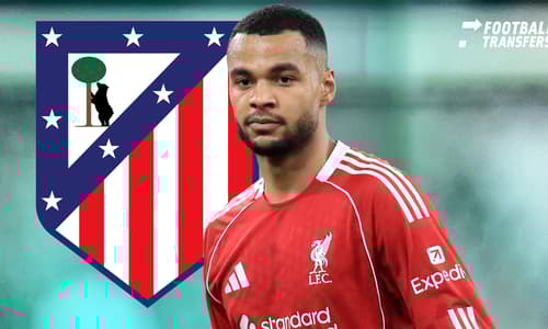 Cody Gakpo, Atlético Madrid