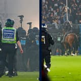 Mannheim and Kaiserslautern