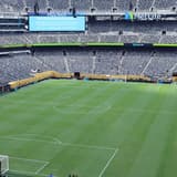 MetLife Stadium, East Rutherford, New Jersey, World Cup final