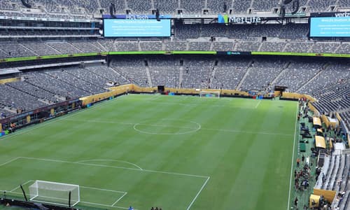 MetLife Stadium, East Rutherford, New Jersey, World Cup final