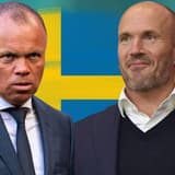 Earnest Stewart, Alex Kroes, Zweden