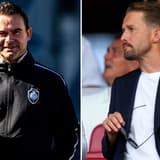 Marc Overmars, Dévy Rigaux