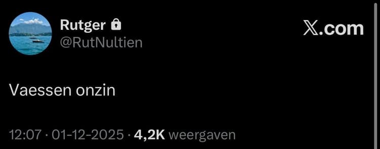 De post van Rutger Vinke op X.