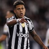 Matheus Martins, Botofago