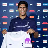 Mateus Fernandes, Tottenham