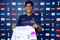 Mateus Fernandes, Tottenham