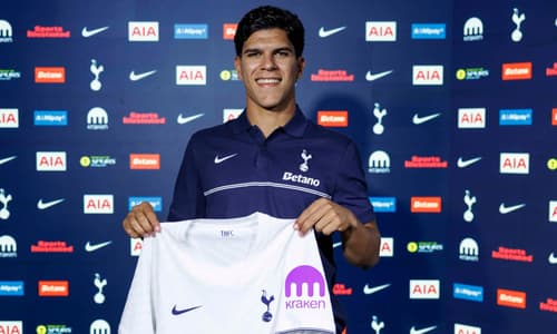 Mateus Fernandes, Tottenham