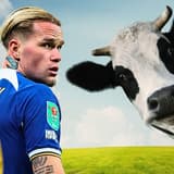 Mykhailo Mudryk failed a drug test because of a cow, reports in Ukraine claim