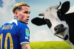 Mykhailo Mudryk failed a drug test because of a cow, reports in Ukraine claim