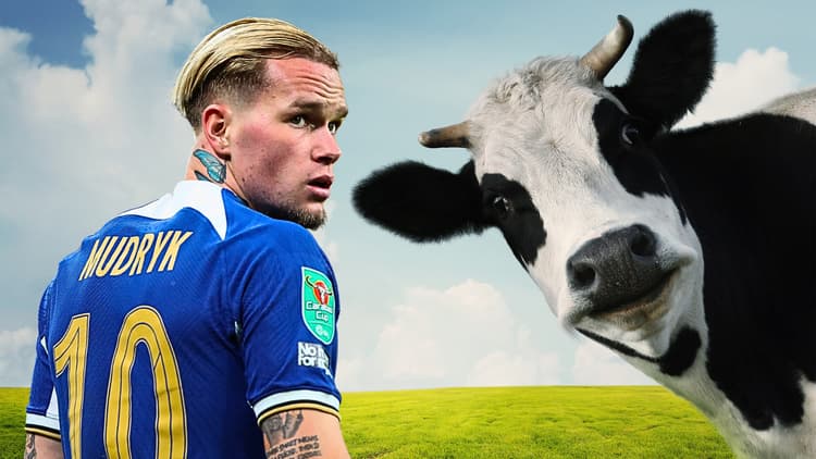 Mykhailo Mudryk failed a drug test because of a cow, reports in Ukraine claim