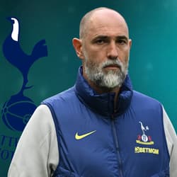 Igor Tudor, Tottenham Hotspur