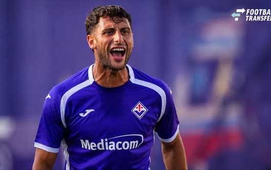 Rolando Mandrogaro, Fiorentina