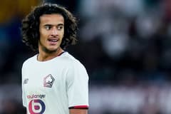 Ayyoub Bouaddi, Lille, 2025/26