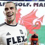 Gareth Bale, Tottenham