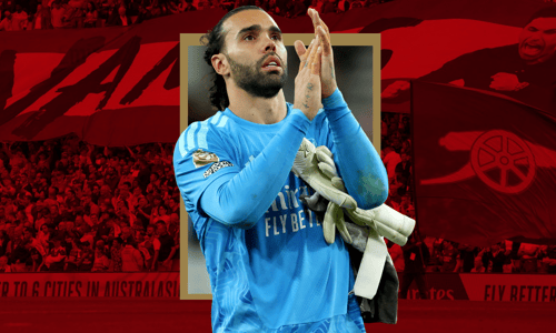 David Raya, Arsenal