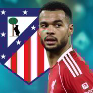 Cody Gakpo, Atletico Madrid