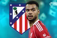 Cody Gakpo, Atletico Madrid