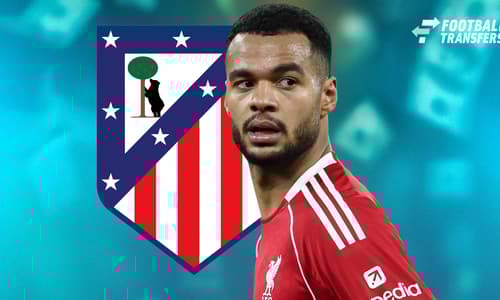 Cody Gakpo, Atletico Madrid