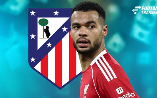 Cody Gakpo, Atletico Madrid