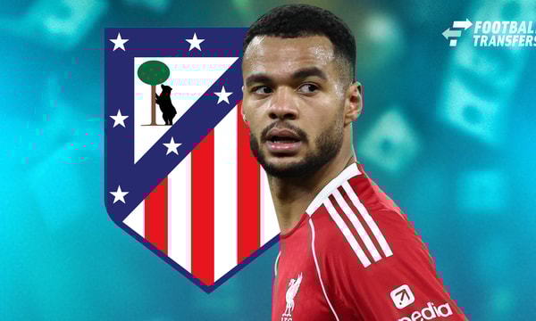 Cody Gakpo, Atletico Madrid