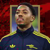 Myles Lewis-Skelly, Arsenal