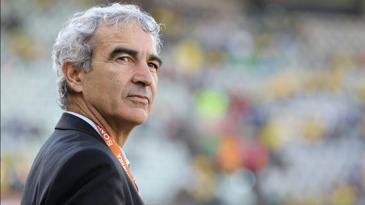 Raymond Domenech, France, 2010 World Cup