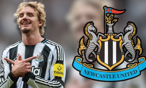Nick Woltemade, Newcastle