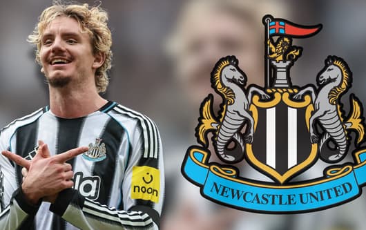 Nick Woltemade, Newcastle