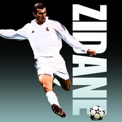 Top 10 Transfers, Zinedine Zidane